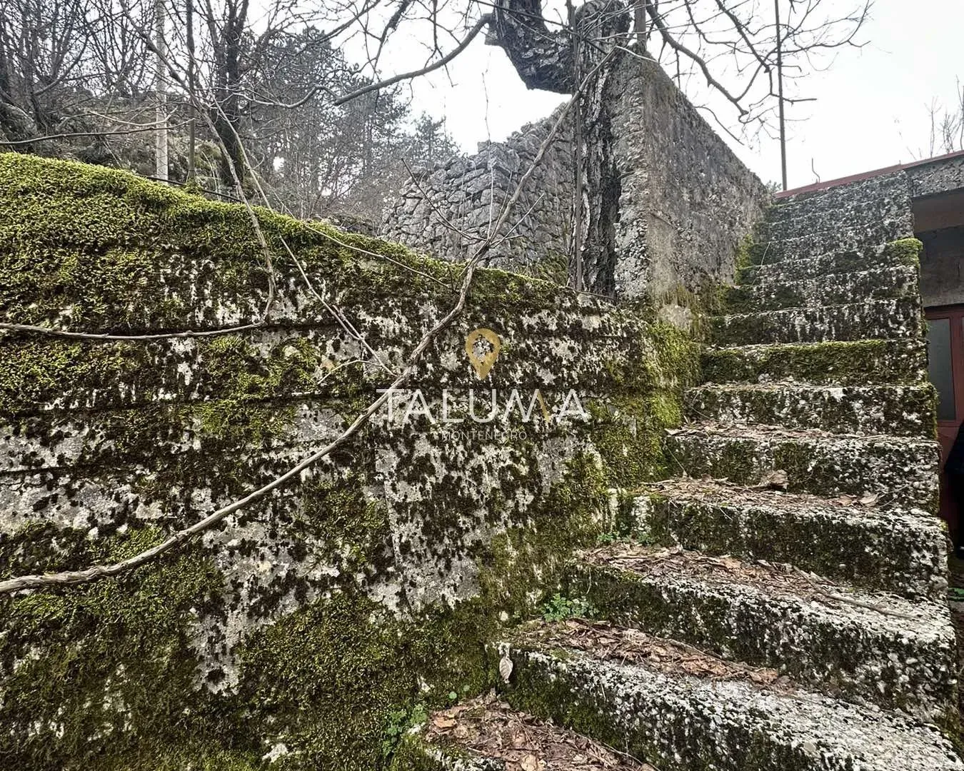 Prodaja, kuća, 195m², Cetinje, Crna Gora