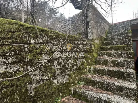 Sale, house, 195m², Cetinje, Crna Gora - image 5