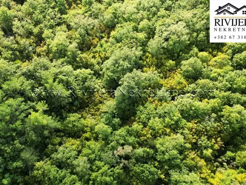 Prodaja, plac, 5356m², Dub, Kotor - image 7