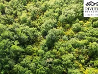 Prodaja, plac, 5356m², Dub, Kotor - image 7