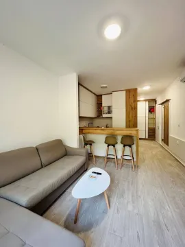 Rent, studio apartment, 35m², Bečići, Budva - image 5