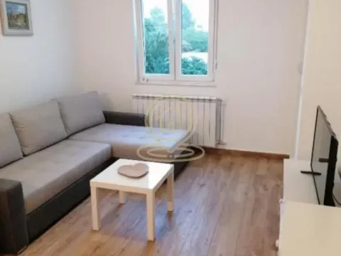 Rent, two bedroom apartment, 43m², Petrovaradin, Novi Sad - image 2