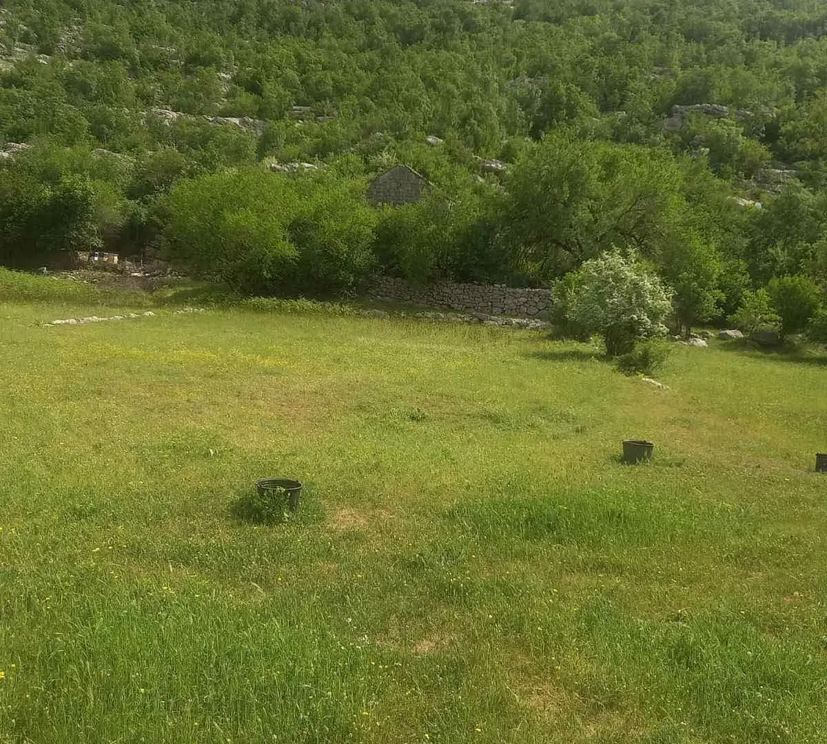 Prodaja, plac, 23377m², Dragalj, Kotor