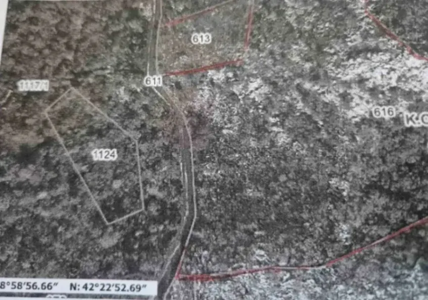 Sale, land lot, 76159m², Ulići, Cetinje