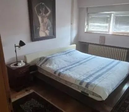 Sale, house, 250m², Voždovac Sve Podlokacije, Beograd - image 9