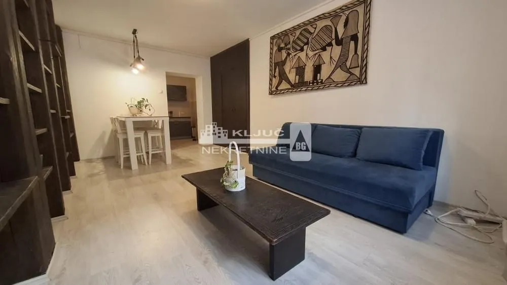 Izdavanje, jednosoban stan, 30m², Vračar Centar, Vračar Sve Podlokacije