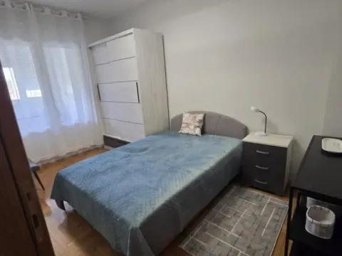 Izdavanje, jednosoban stan, 43m², Jodna Banja, Novi Sad Sve Podlokacije - image 10