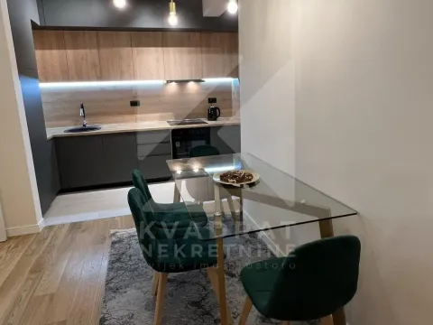 Izdavanje, jednosoban stan, 53m², Central Point, Podgorica - image 3