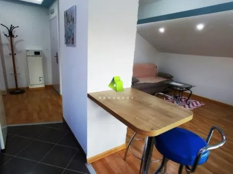 Rent, one bedroom apartment, 44m², Pantelej, Niš - image 5