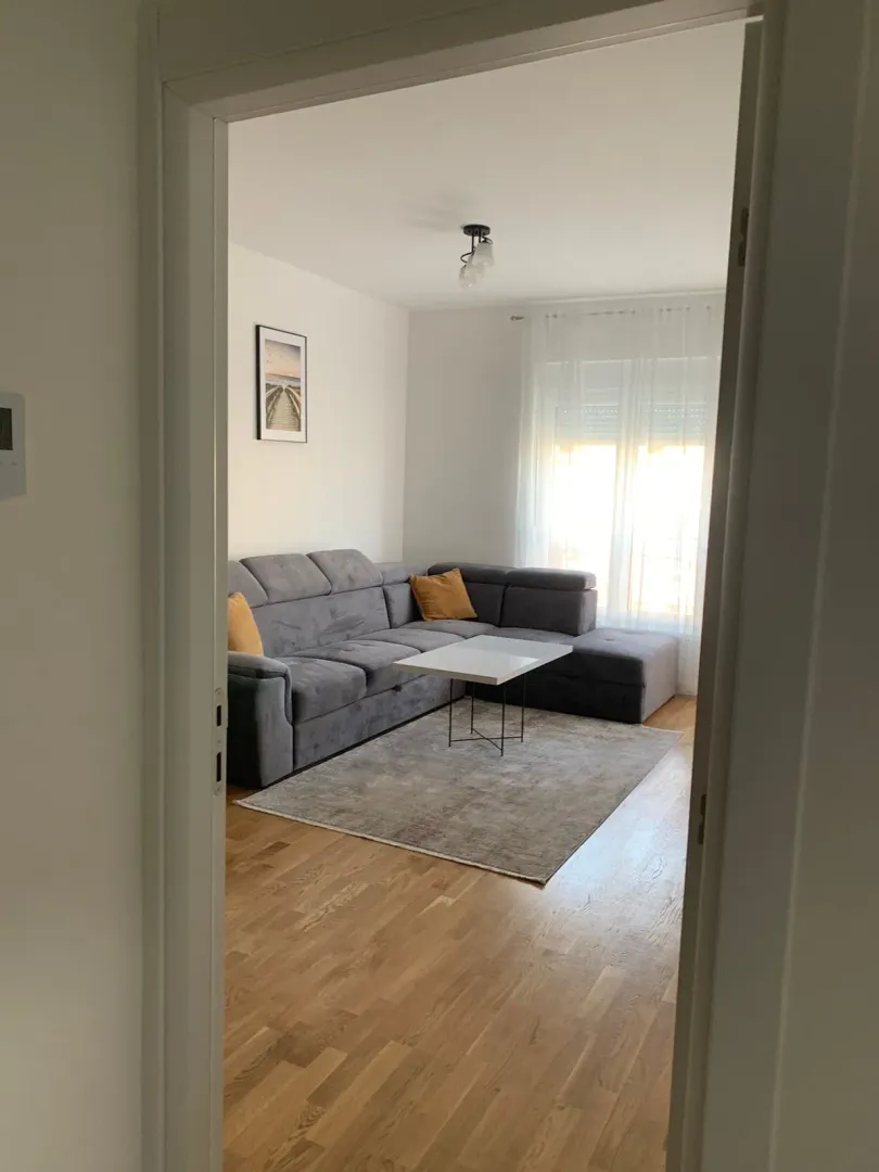 Rent, one bedroom apartment, 46m², Zabjelo, Podgorica