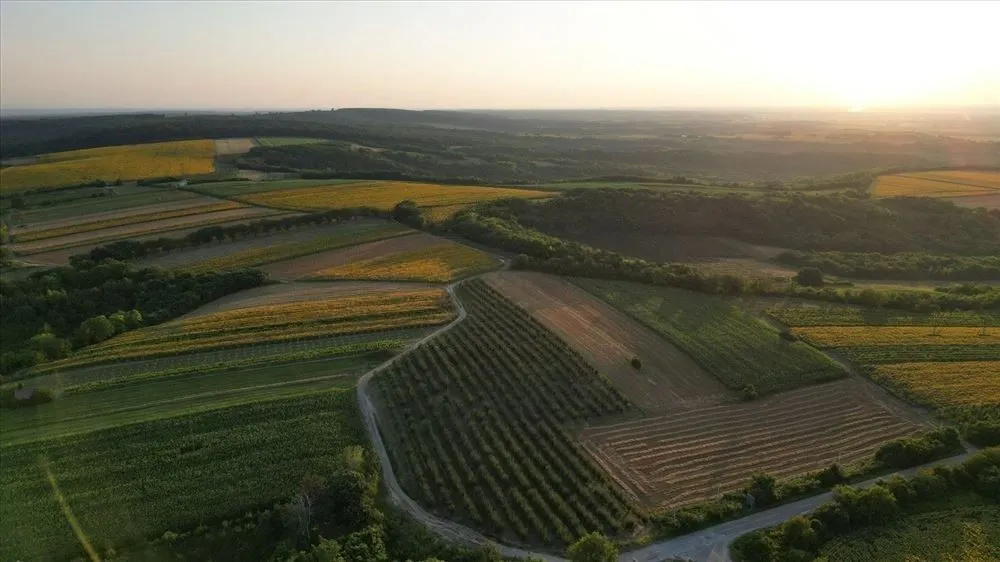 Prodaja, kuća, 62m², Bačka Palanka, Novi Sad