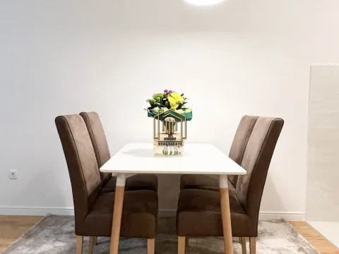 Izdavanje, jednosoban stan, 49m², Central Point, Podgorica - image 4