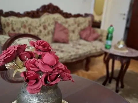 Sale, two bedroom apartment, 50m², Zvezdara Sve Podlokacije, Beograd - image 4