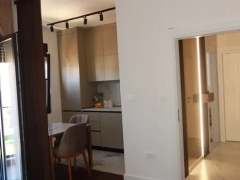 Izdavanje, jednosoban stan, 40m², Podgorica, Crna Gora - image 6