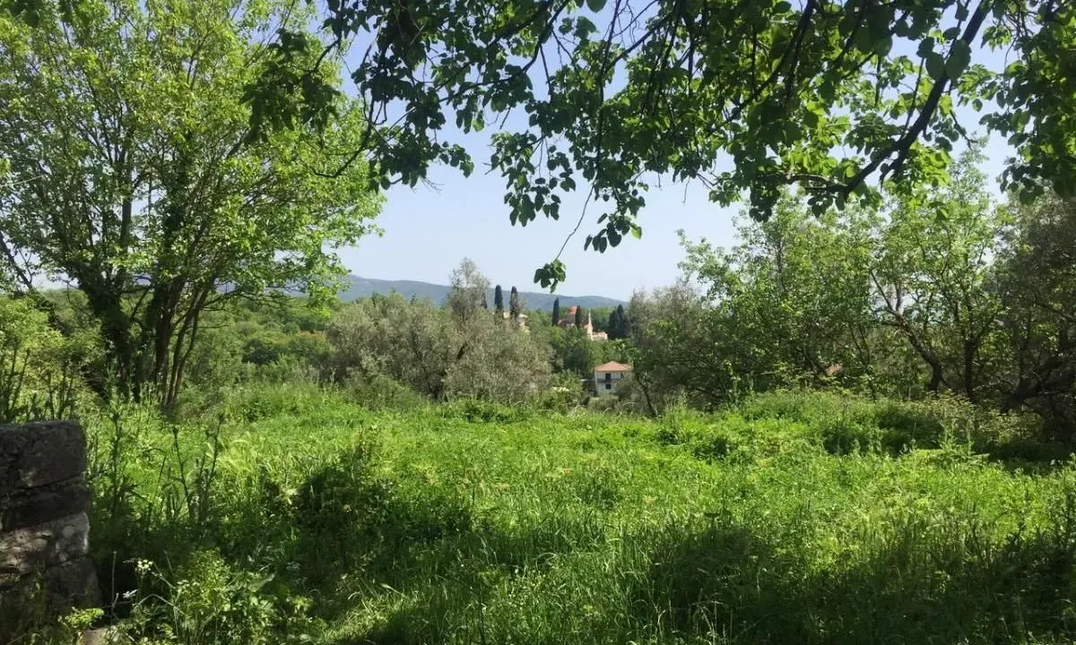 Sale, land lot, 6800m², Podi, Herceg Novi