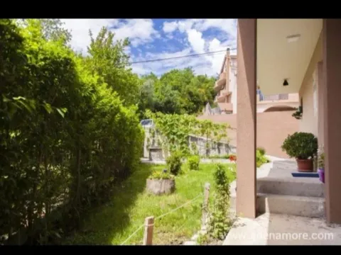 Rent, house, 42m², Jaz, Budva - image 3