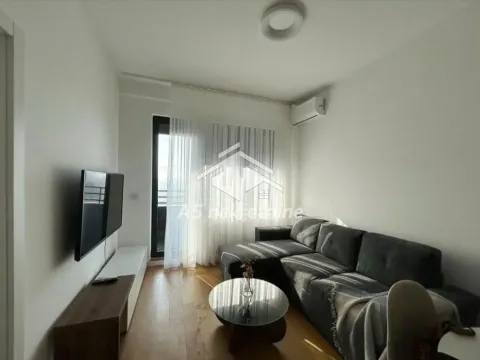 Izdavanje, dvosoban stan, 44m², Novi Beograd Blok 67, Novi Beograd Sve Podlokacije