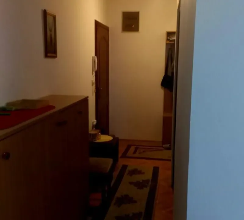 Izdavanje, dvosoban stan, 45m², Žarkovo, Beograd