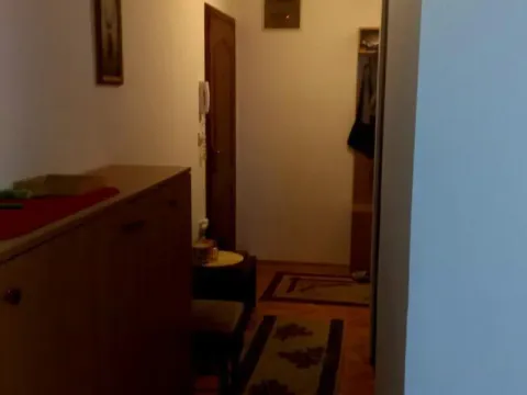 Rent, two bedroom apartment, 45m², Žarkovo, Beograd