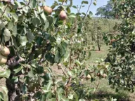 Sale, house, 80m², Ozrinići, Nikšić - image 10