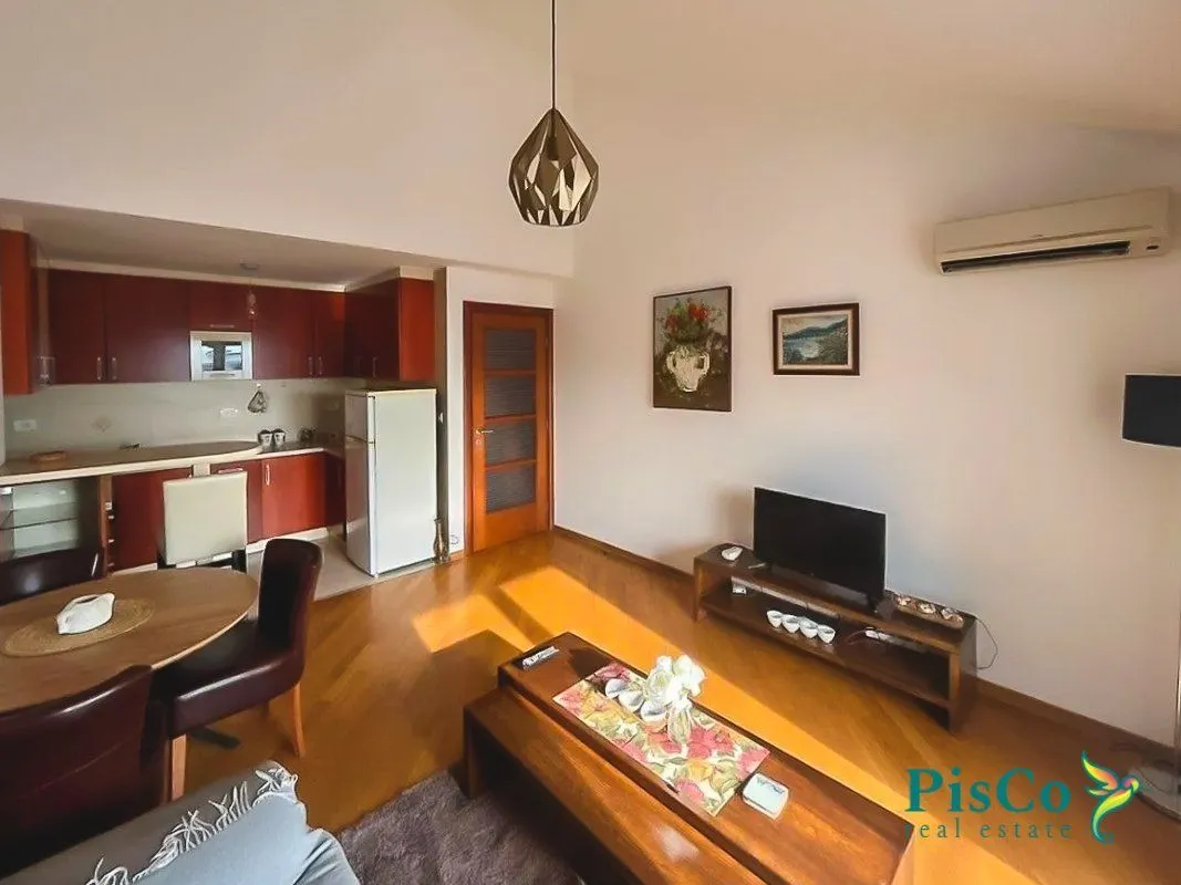 Rent, one bedroom apartment, 48m², Preko Morače, Podgorica