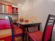 Izdavanje, jednosoban stan, 45m², Vezirov Most, Podgorica - image 4