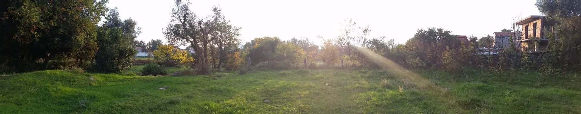 Prodaja, plac, 1530m², Herceg Novi, Crna Gora