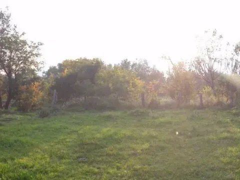 Prodaja, plac, 1530m², Herceg Novi, Crna Gora - image 4