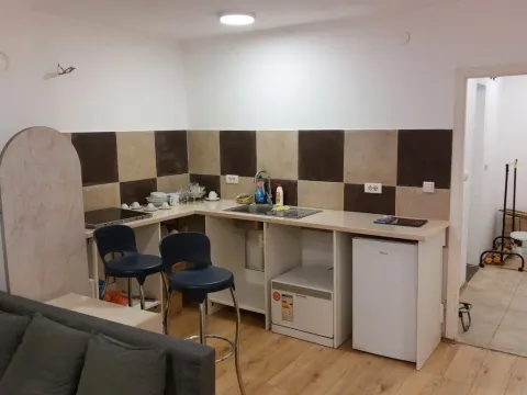 Izdavanje, dvosoban stan, 65m², Zemun Centar, Zemun Sve Podlokacije - image 6