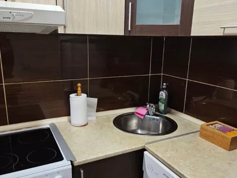 Rent, one bedroom apartment, 40m², Ljubović, Podgorica - image 4