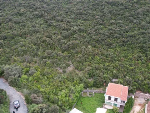 Prodaja, plac, 3585m², Krimovica, Kotor - image 4