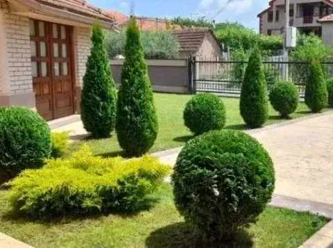 Izdavanje, kuća, 250m², Tološi, Podgorica - image 3