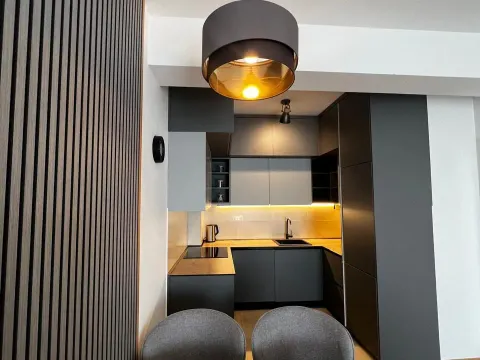 Prodaja, jednosoban stan, 45m², Zabjelo, Podgorica - image 4