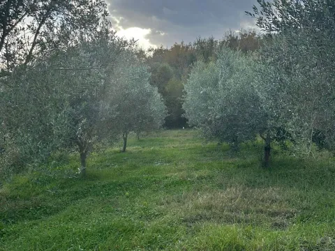 Prodaja, plac, 6000m², Ulcinj, Crna Gora - image 2