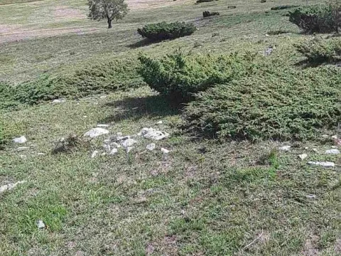 Sale, land lot, 9000m², Lepenac, Mojkovac - image 5