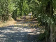 Prodaja, plac, 10m², Arnajevo, Barajevo - image 6