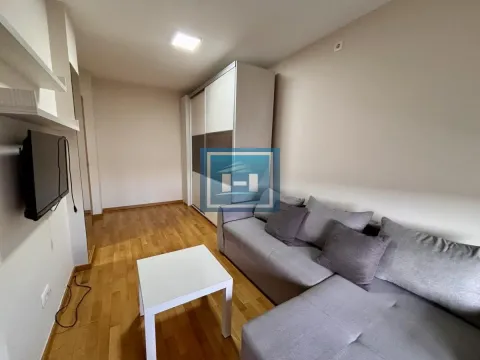 Izdavanje, jednosoban stan, 42m², Centar, Jagodina - image 12