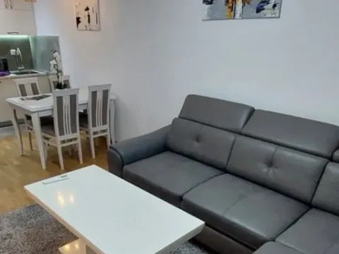 Izdavanje, jednosoban stan, 43m², Zabjelo, Podgorica - image 3