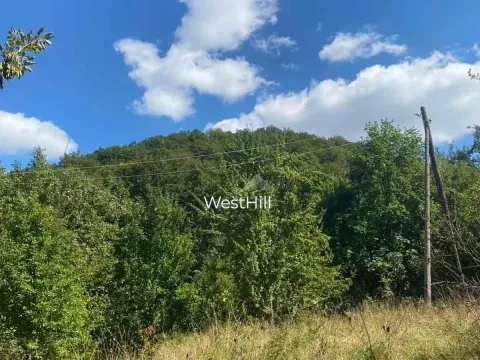 Prodaja, plac, 157000m², Kolašin, Crna Gora - image 1