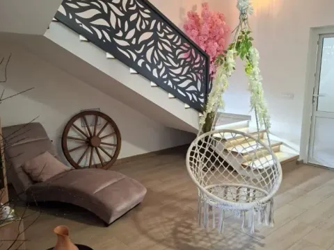 Sale, house, 333m², Misa, Pančevo - image 5