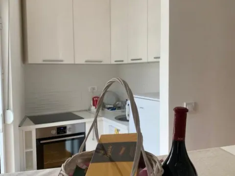 Izdavanje, garsonjera, 32m², Maslinjak, Budva - image 6