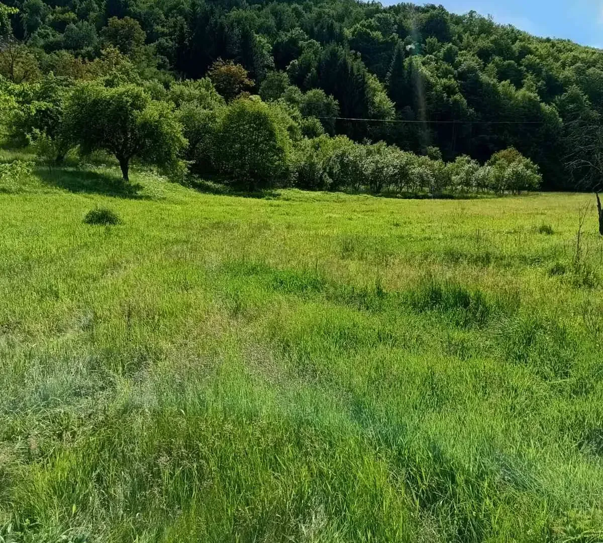 Prodaja, plac, 48000m², Bijelo Polje, Crna Gora