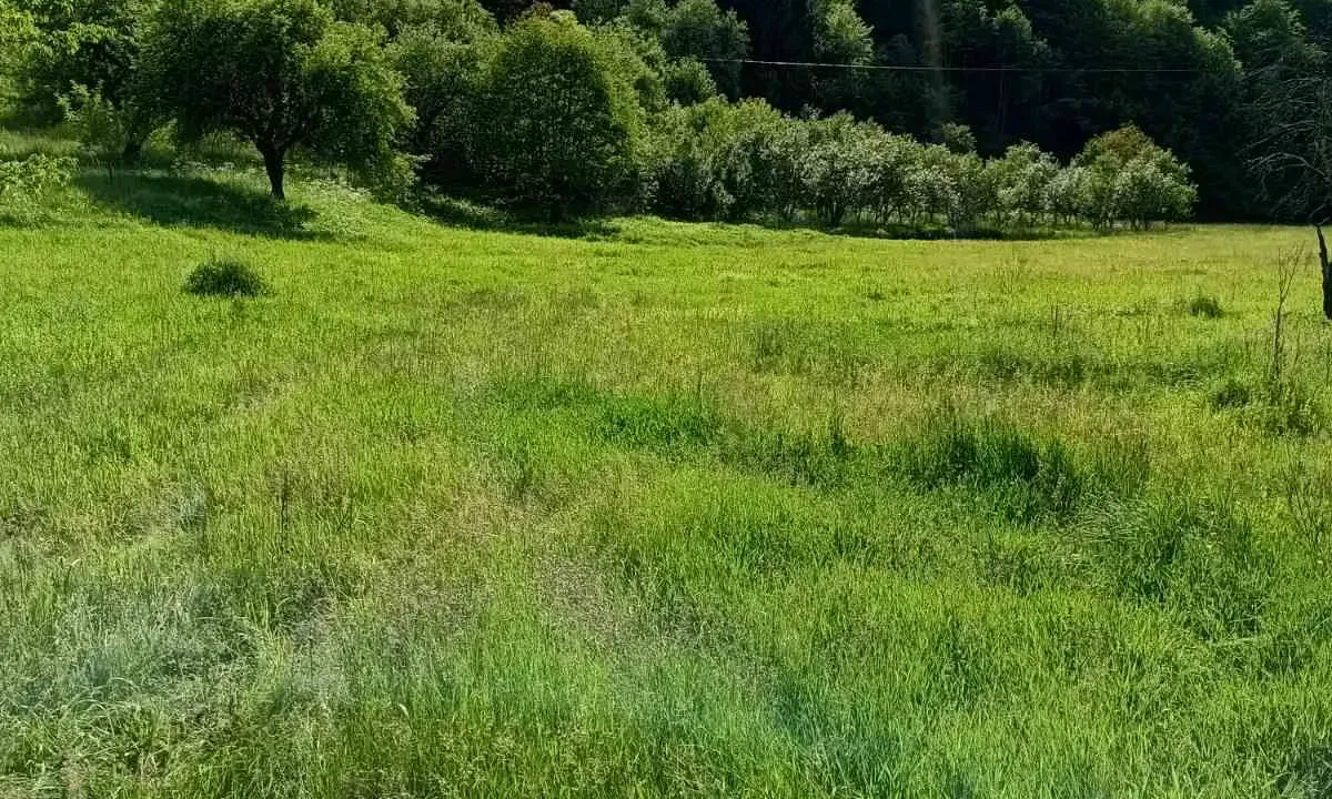 Prodaja, plac, 48000m², Bijelo Polje, Crna Gora