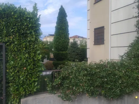 Rent, house, 262m², Zabjelo, Podgorica - image 6
