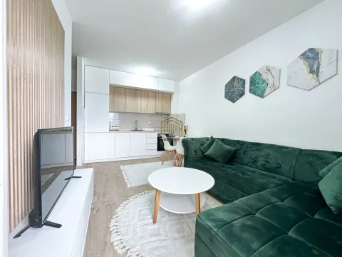 Izdavanje, jednosoban stan, 38m², Zabjelo, Podgorica - image 2