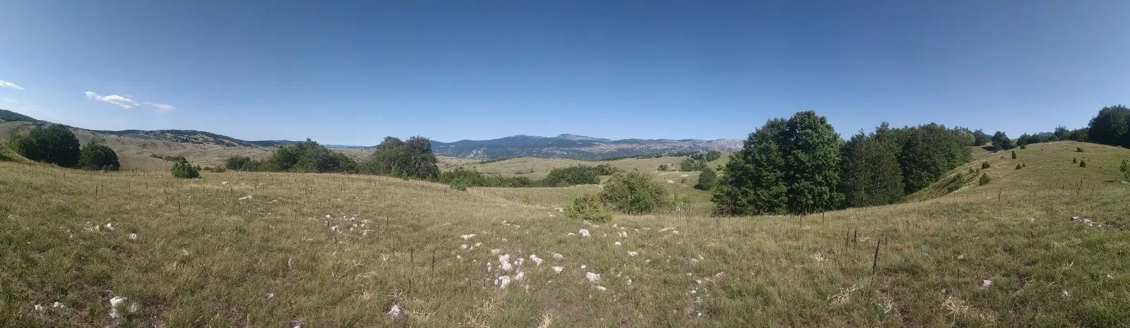 Prodaja, plac, 500m², Murtovina, Podgorica