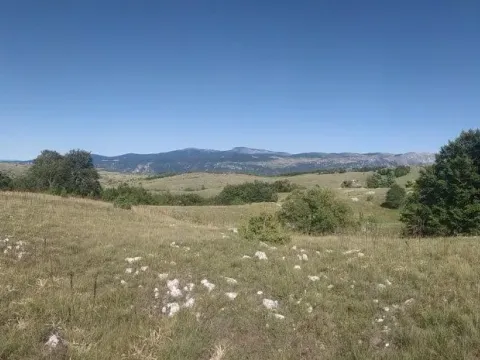 Zemljište in Murtovina