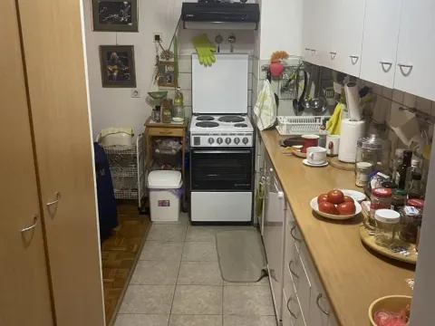 Izdavanje, dvosoban stan, 50m², Mirijevo Sve Podlokacije, Beograd - image 6