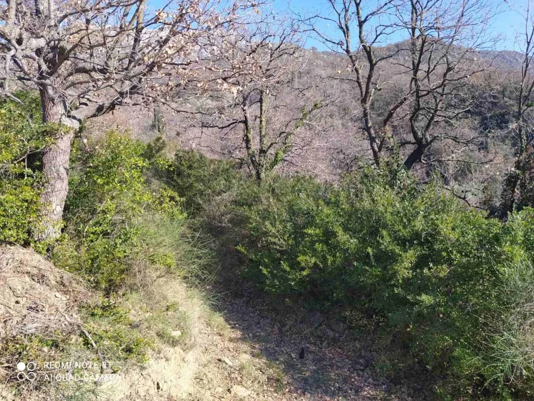 Prodaja, plac, 5000m², Bar, Crna Gora