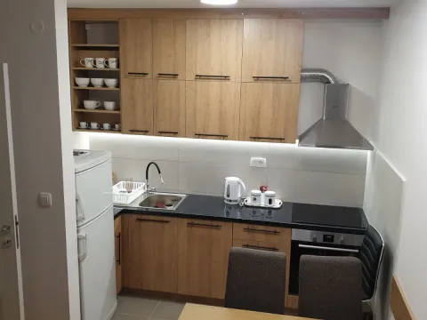 Izdavanje, jednosoban stan, 42m², Pobrežje, Podgorica - image 5